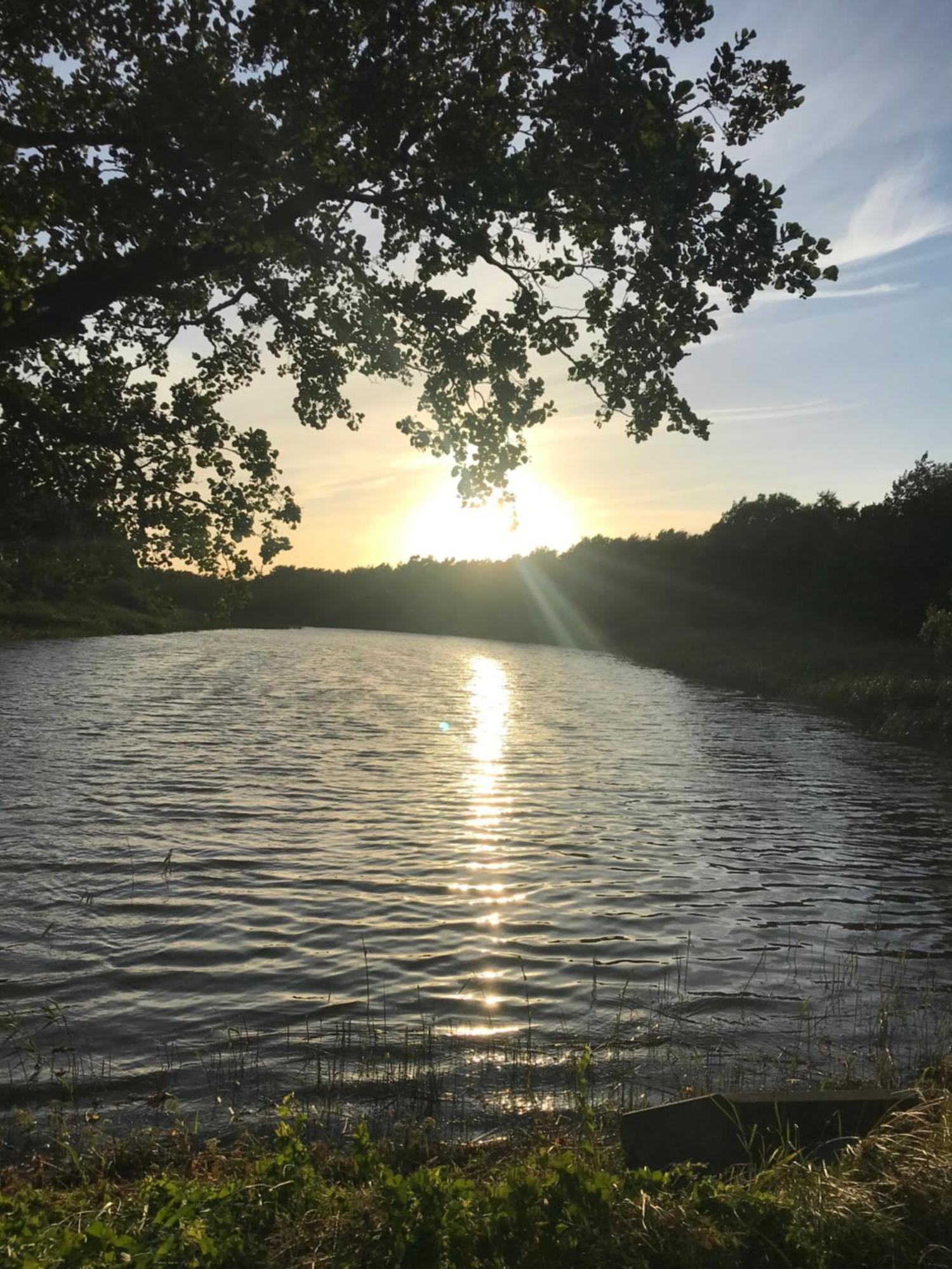Sonnenwind Appartement Prerow Buitenkant foto