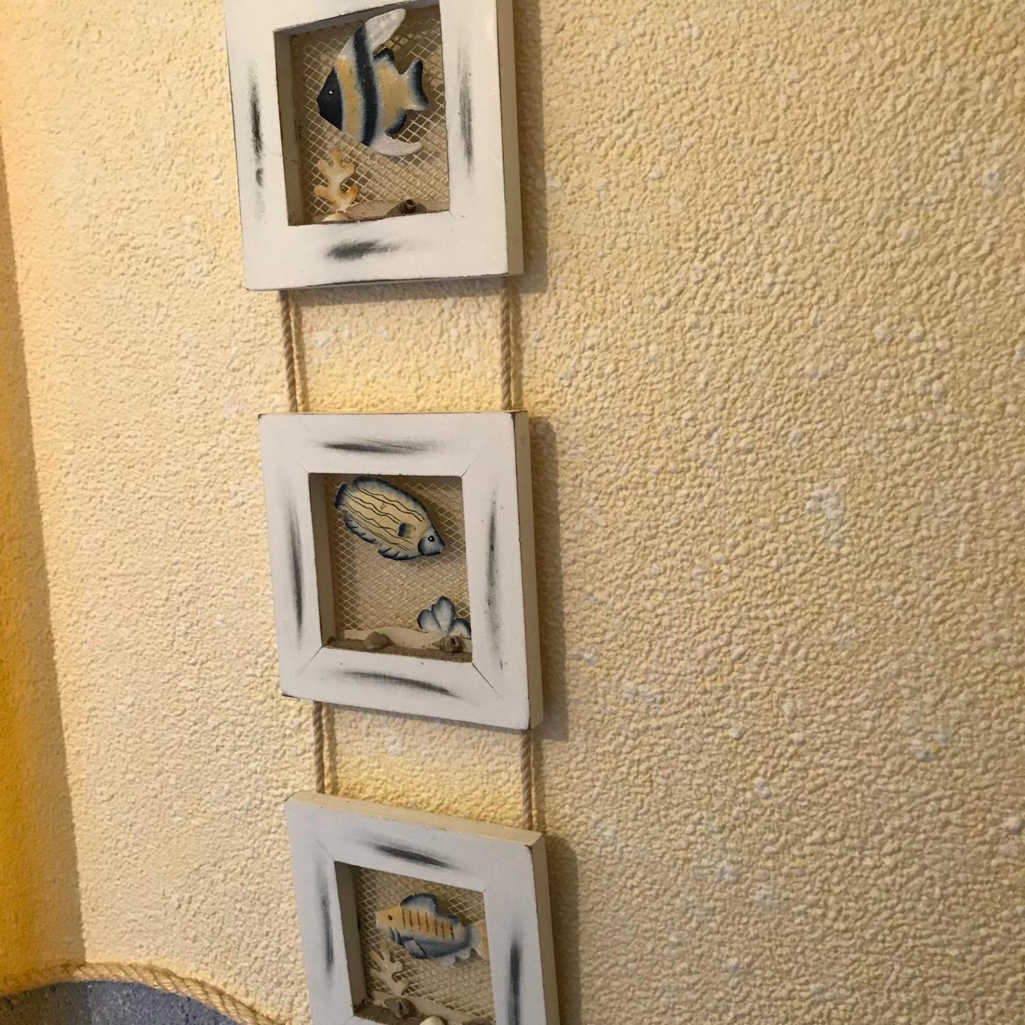 Sonnenwind Appartement Prerow Buitenkant foto